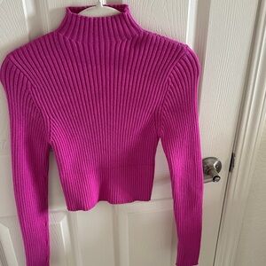 Zara Fuchsia Ribbed Knit Mock Neck Top